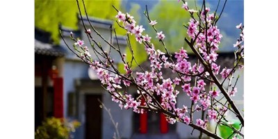阳春三月，尊龙凯时一大波展会即将来袭，您准备好了吗？